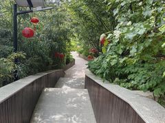-太阳宫公园