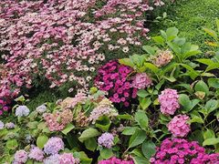 -首开·龙湖成都西宸天街