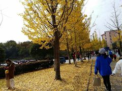 -浙江农林大学(东湖校区)