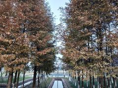 -滆湖低碳生态公园
