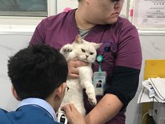 -伟伟宠物医院·CT影像中心·瑞派犬猫综合性门诊(汉口总院)