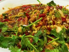 生炝八爪鱼-大众海鲜(巨龙北路店)