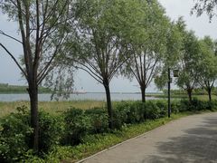 -呼兰河口湿地公园
