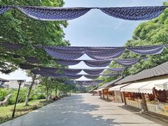 -沙家浜风景区