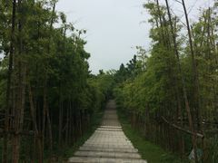 -江南天池