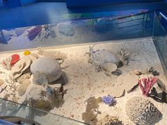 -重庆欢乐海底世界
