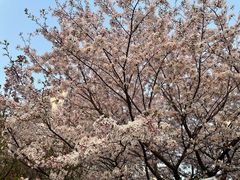 -杨高南路(地铁站)