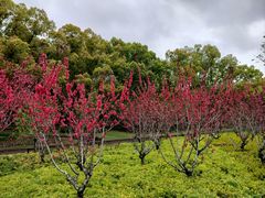 -上海市龙华烈士陵园