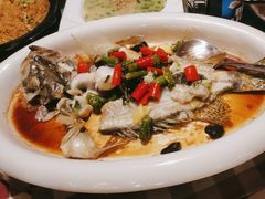 -陶缘一号·四季缘·老字号顺德菜·户外婚礼家宴(西滘店)