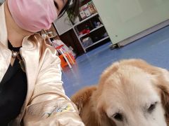 -顺强宠物诊所·狂犬免疫·夜诊·骨科(嘉定店)