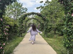 -名花谷生态庄园