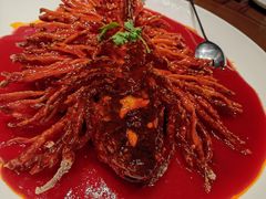 -丹江渔村(望京店)