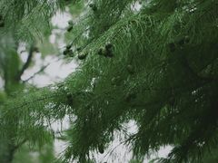 -青山湖景区