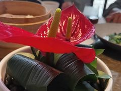 -上海总会SHANGHAICLUB(兴业太古汇店)