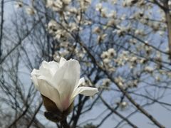 -玄武湖景区-情侣园游乐场