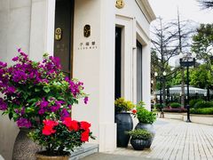-子福慧(虹桥店)