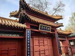 -桃花堤公园