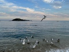 -傅家庄公园