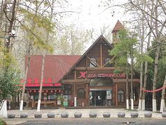 -合肥滨湖国家森林公园