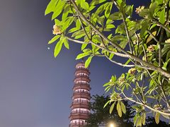 -广州塔