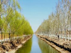 -西青郊野公园