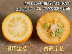 -海底捞火锅(老城根店)