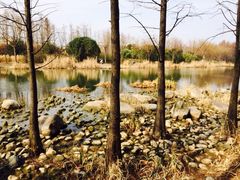 -新江湾城公园