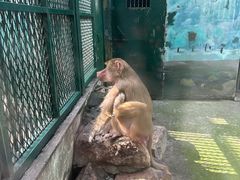 -无锡动物园·太湖欢乐园