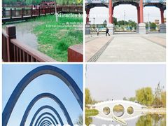 -大兴滨河森林公园
