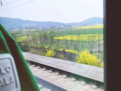 -格莱美量贩式KTV(奥帆店)