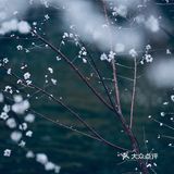 沿着二环走 寻花&问柳