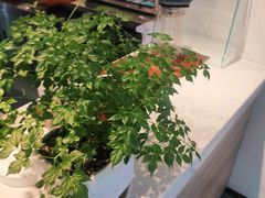 -悠客优品(虞锦楼店)
