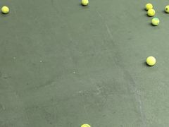 -齐动力网球(星河湾基地店)