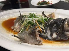 -渔人码头(中南店)