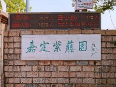 -嘉定紫藤园