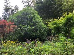 -会稽山峡洞漂流-上青古道