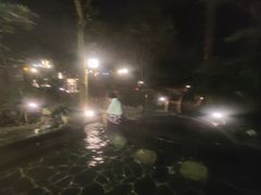 -明月山天沐温泉度假村