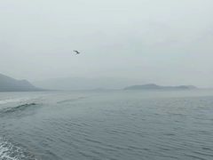 -坝光海滩