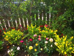 -双季花艺园艺市场(浦东店)