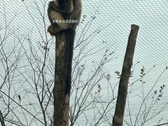 -杭州野生动物世界