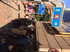 珍妮曲奇&nbsp;Jenny&nbsp;Bakery(上环店)-珍妮曲奇聪明小熊(上环店)