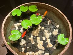 -曲水兰亭(北京四惠店)