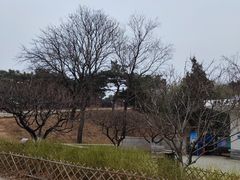 -北京西山国家森林公园