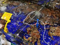 -79号渔船海鲜饭店(华强北店)