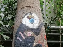 -呀路古热带植物园