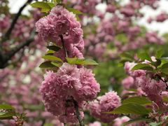 -苏州河梦清园环保主题公园