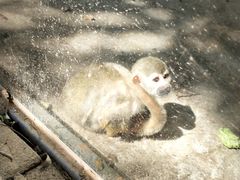 -长白岛森林公园