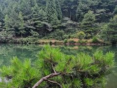 -四明山国家森林公园
