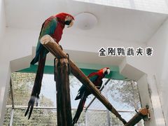 -成都动物园