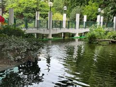 -九龙公园